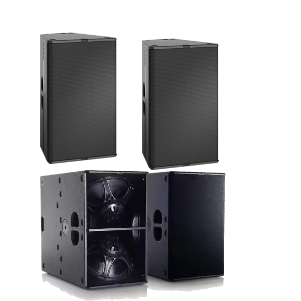 Audio Music Hall - Profesjonalny zestaw głośników T24N Dual Matrix
